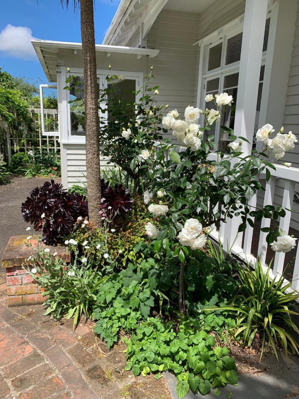 Browns Boutique Bed And Breakfast Whanganui Exterior photo